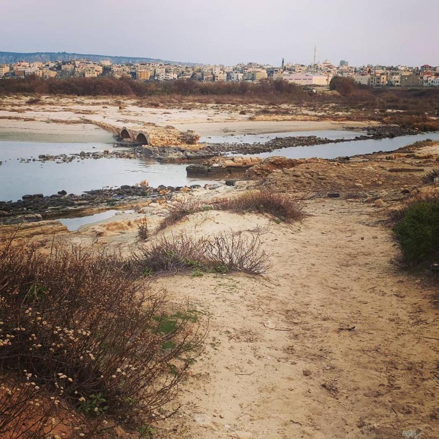 Juha'S Guesthouse - Zarqa Bay Jisr ez Zarqa Bagian luar foto